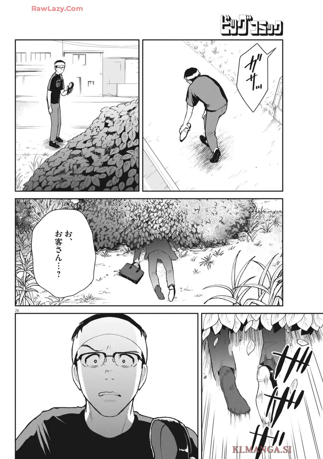 P26