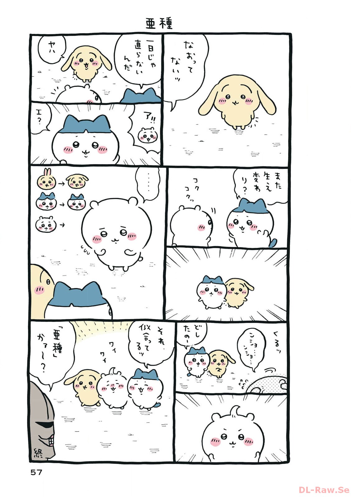 P58