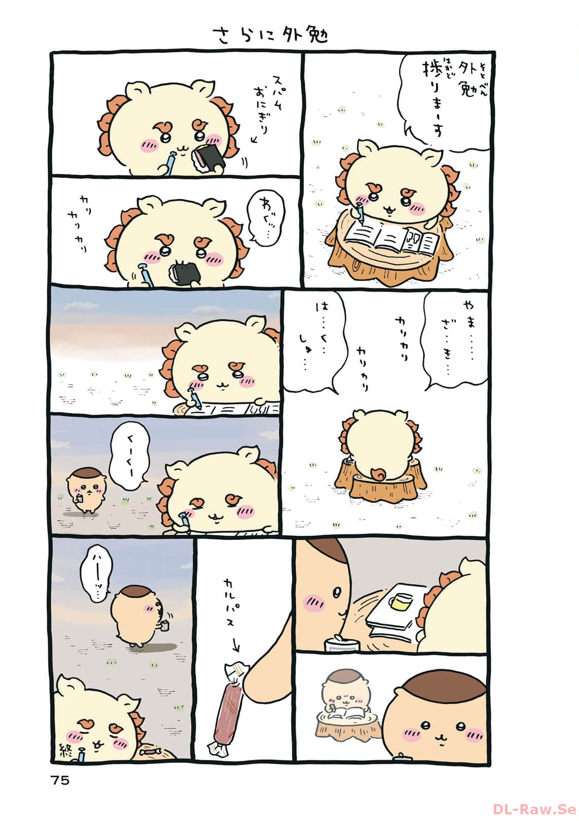 P12