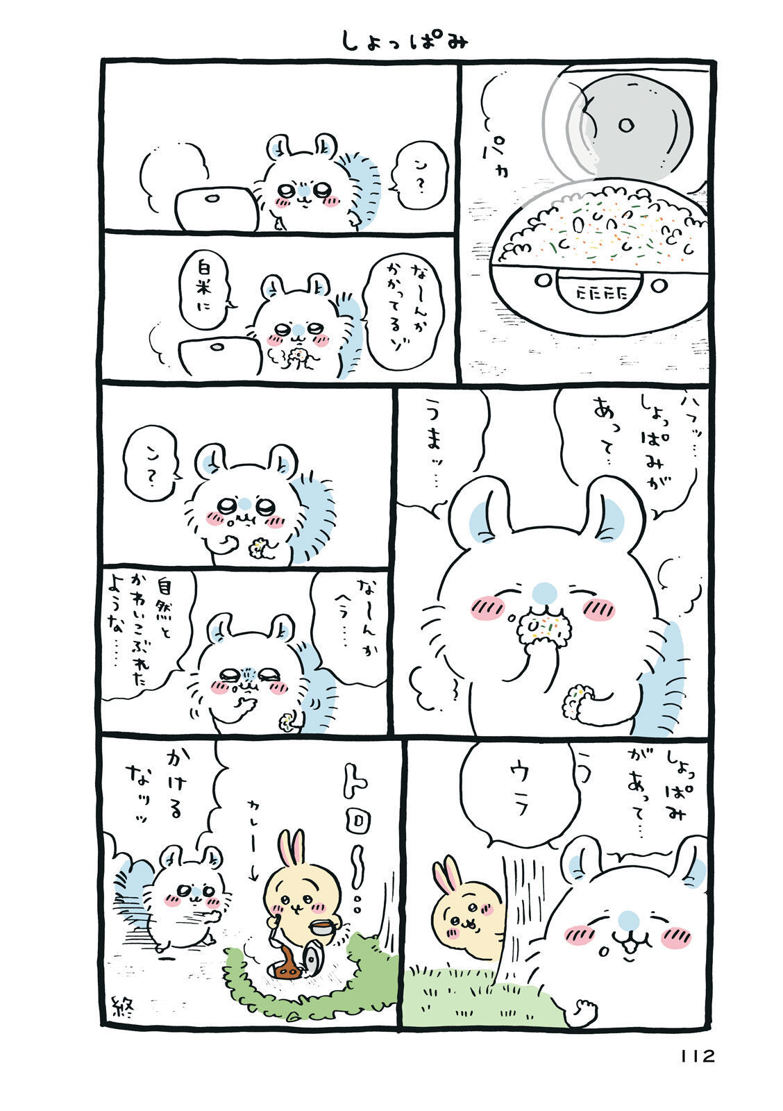P113