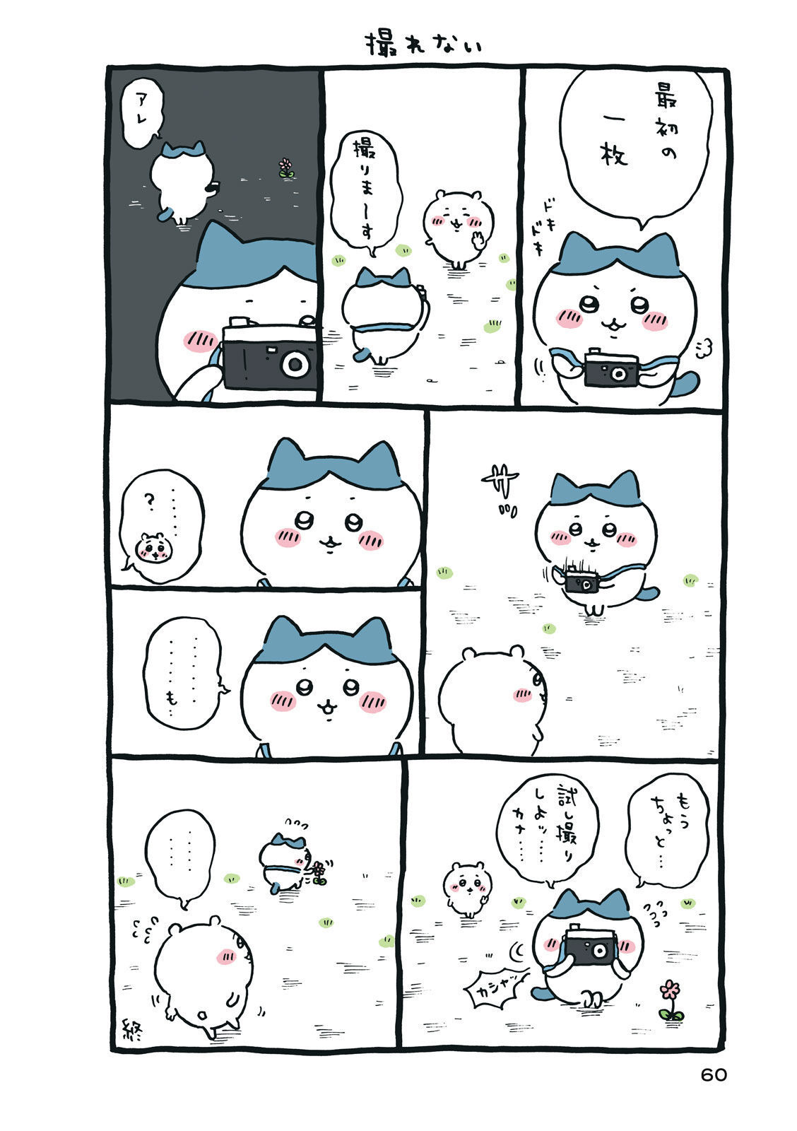 P61