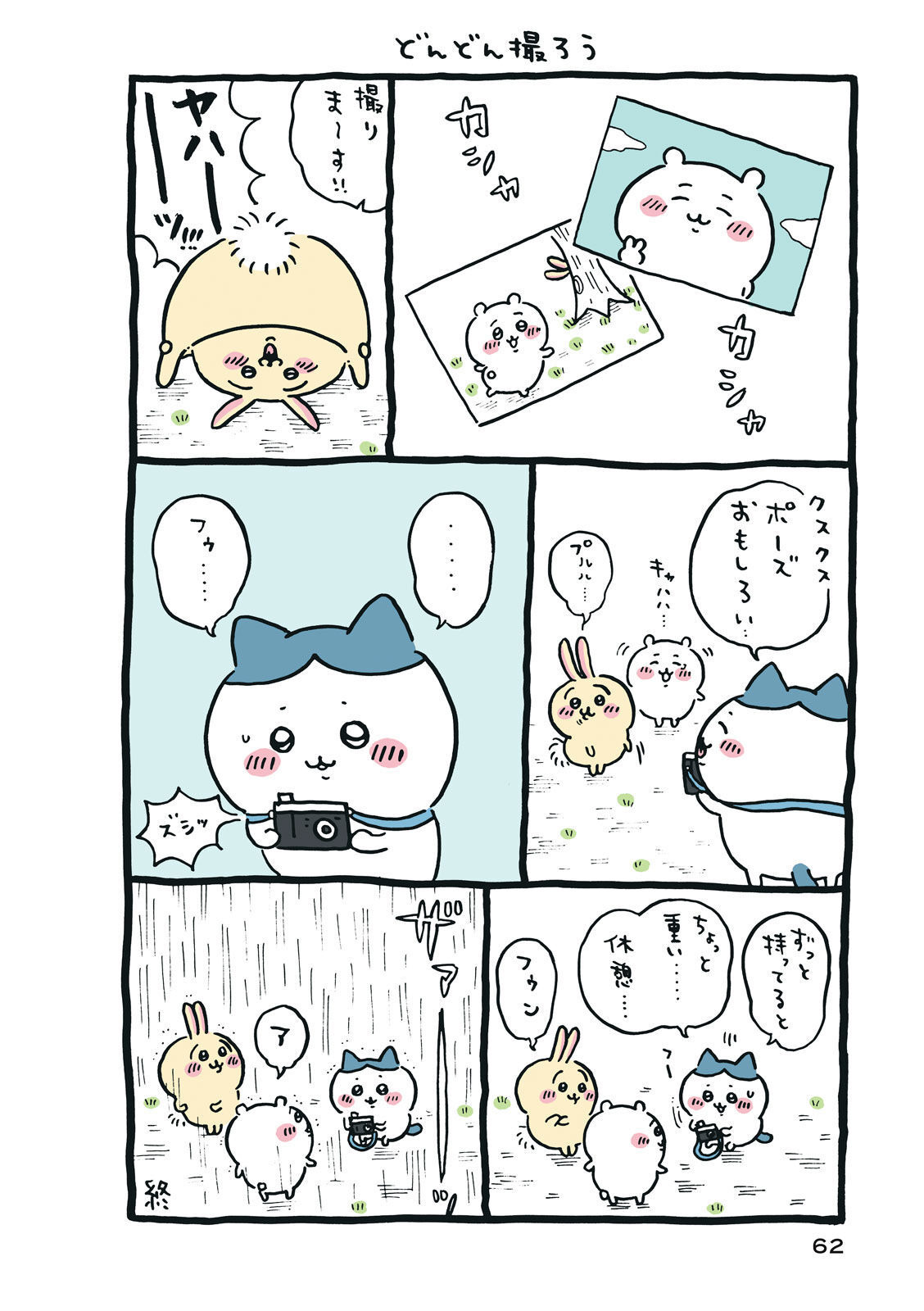 P63