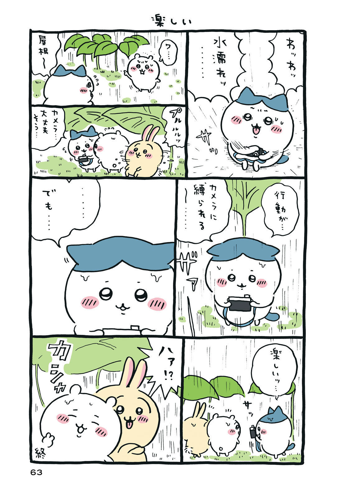 P64