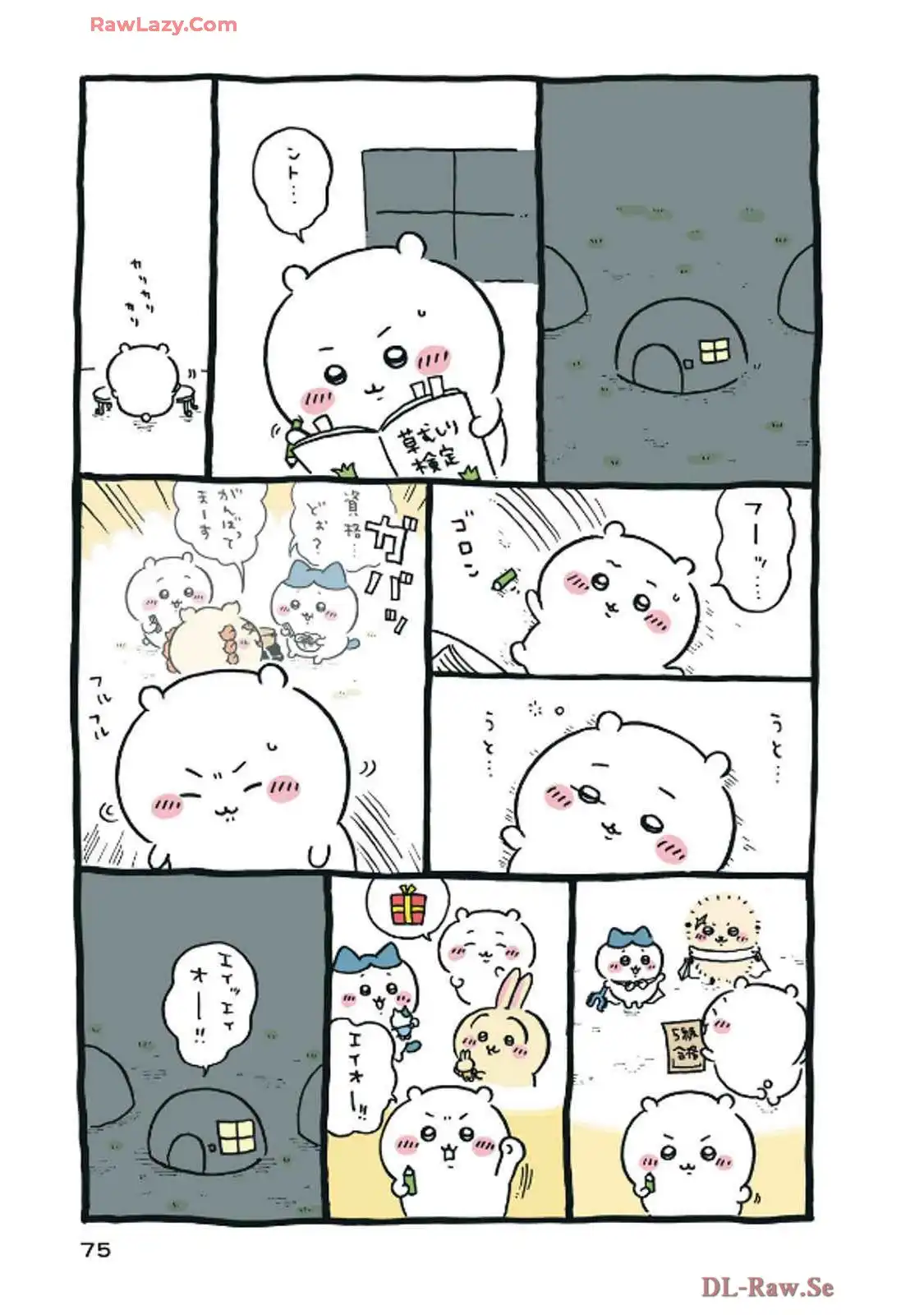 P31
