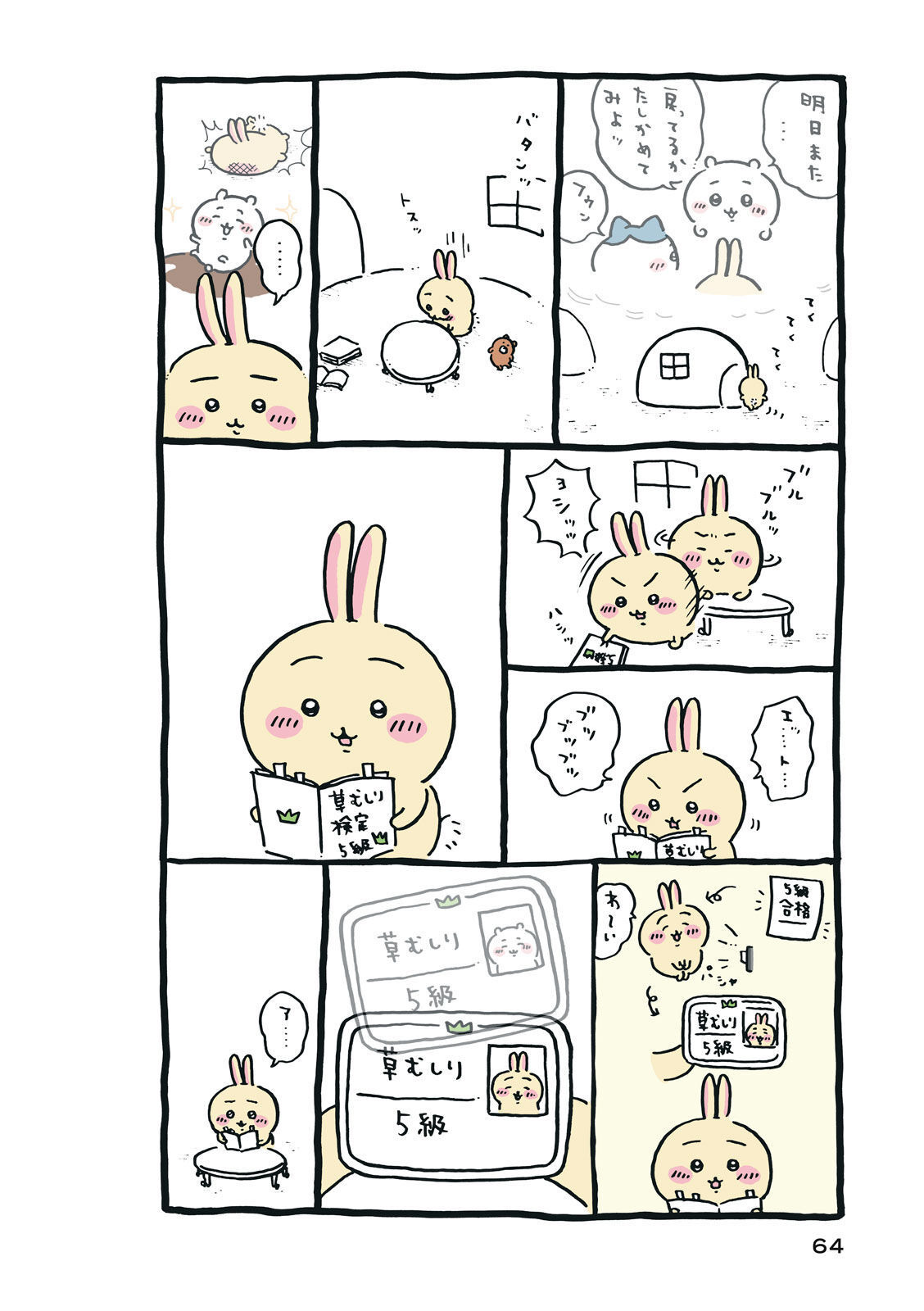 P65