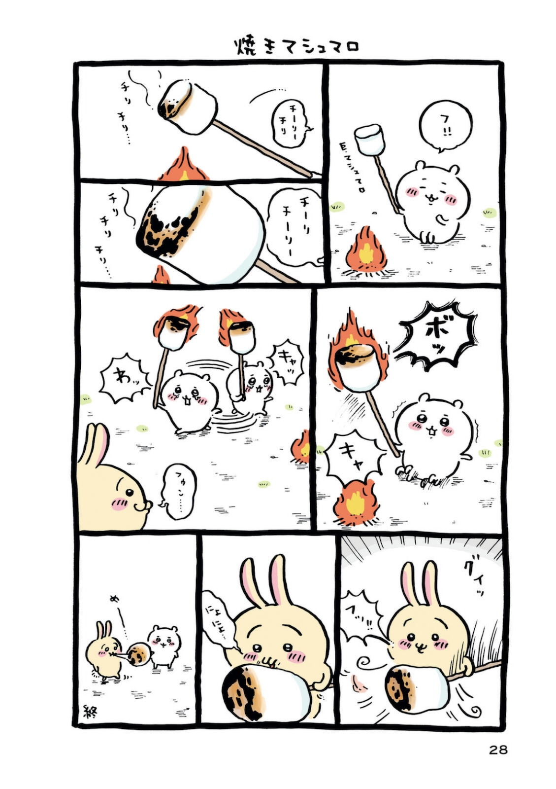 P29