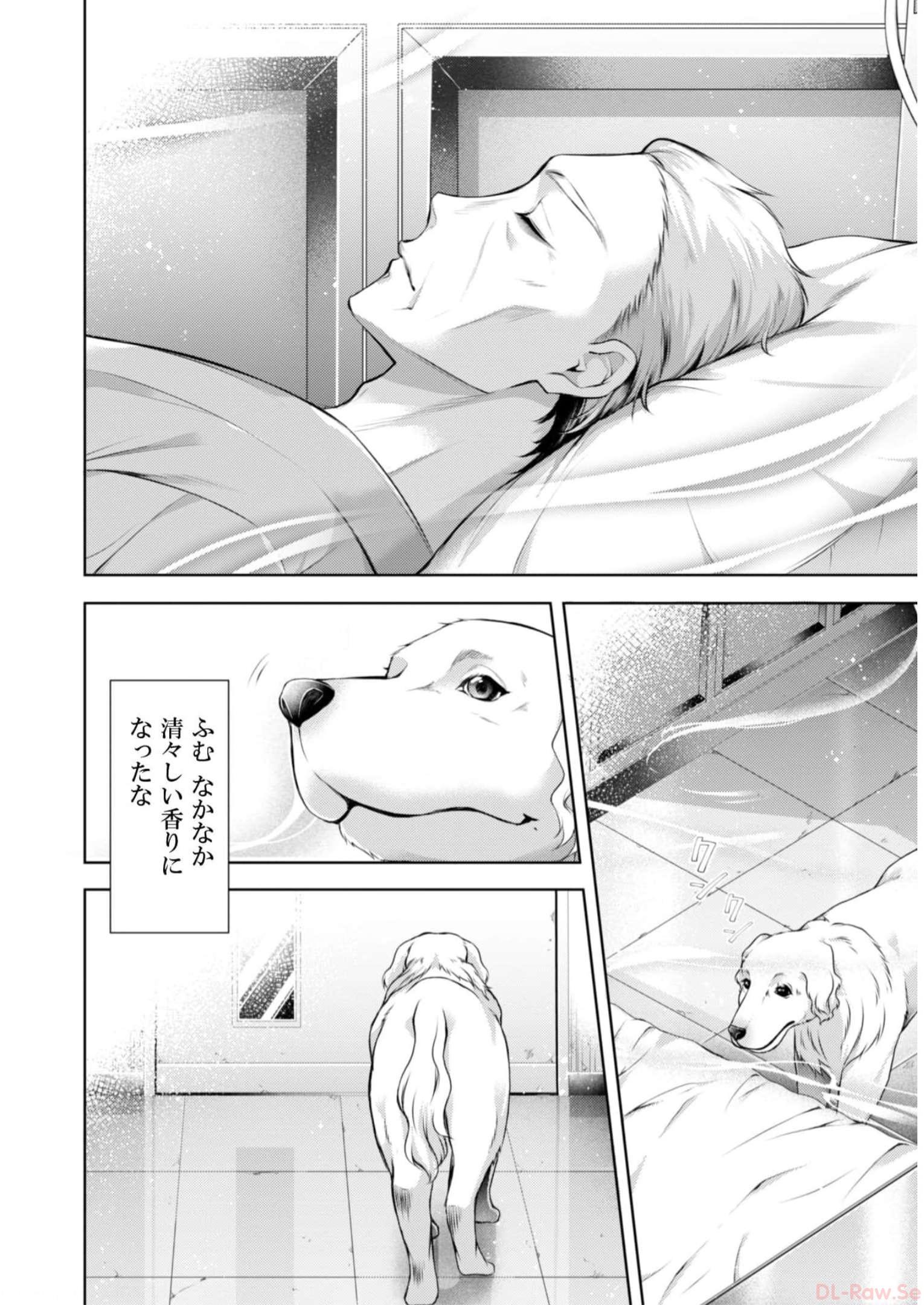 P61
