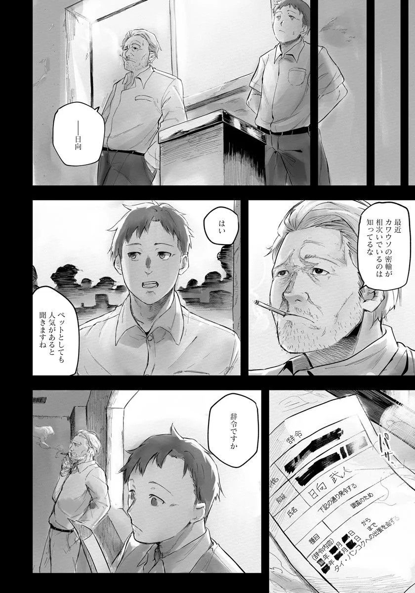 P4