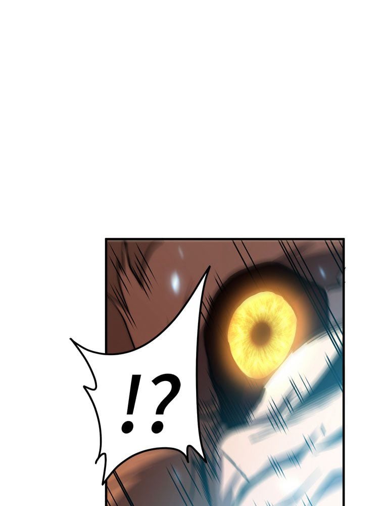 P52