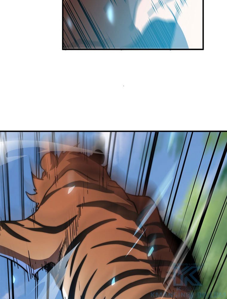 P53
