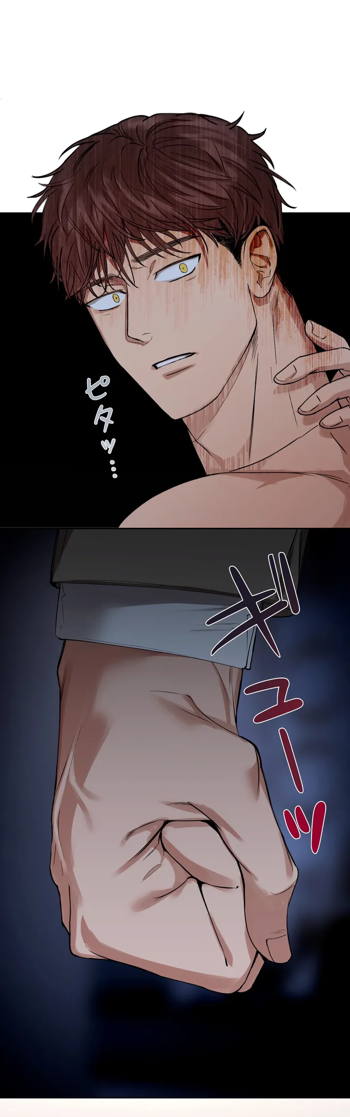P53
