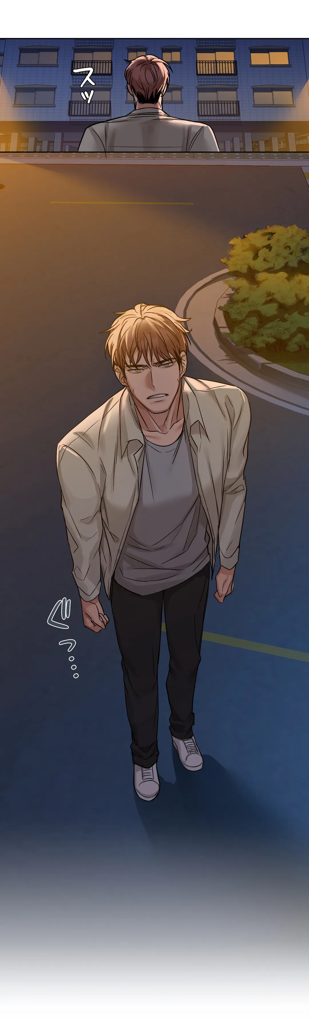 P53