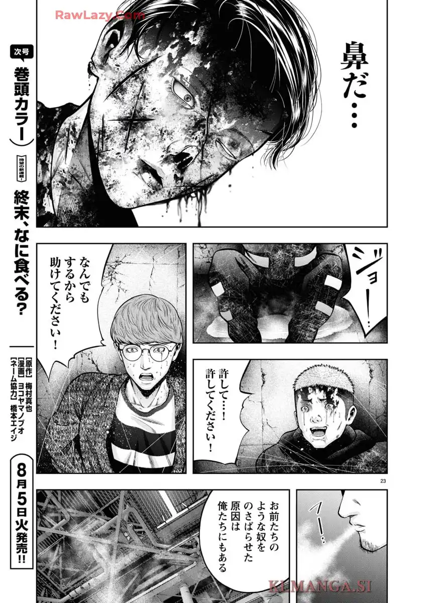 P23