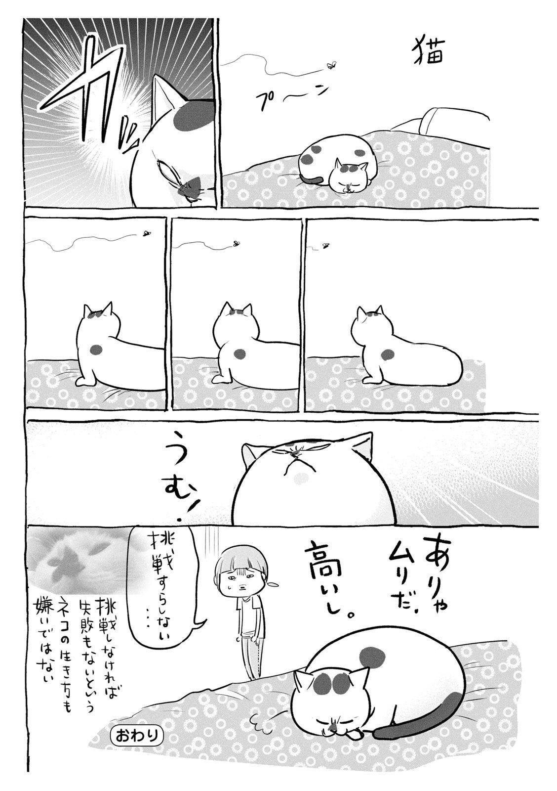 P33