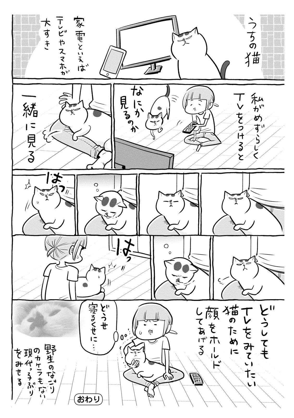 P35