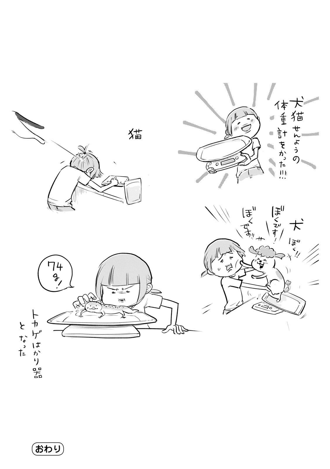P46