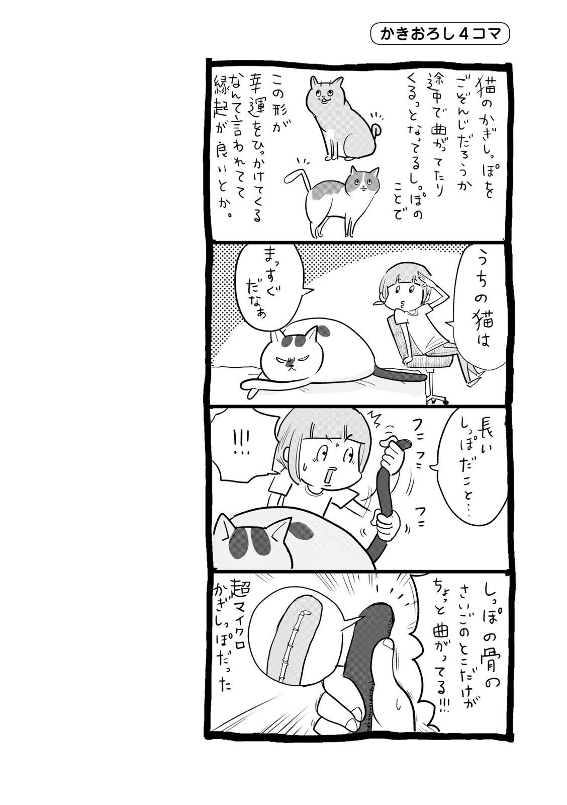 P47