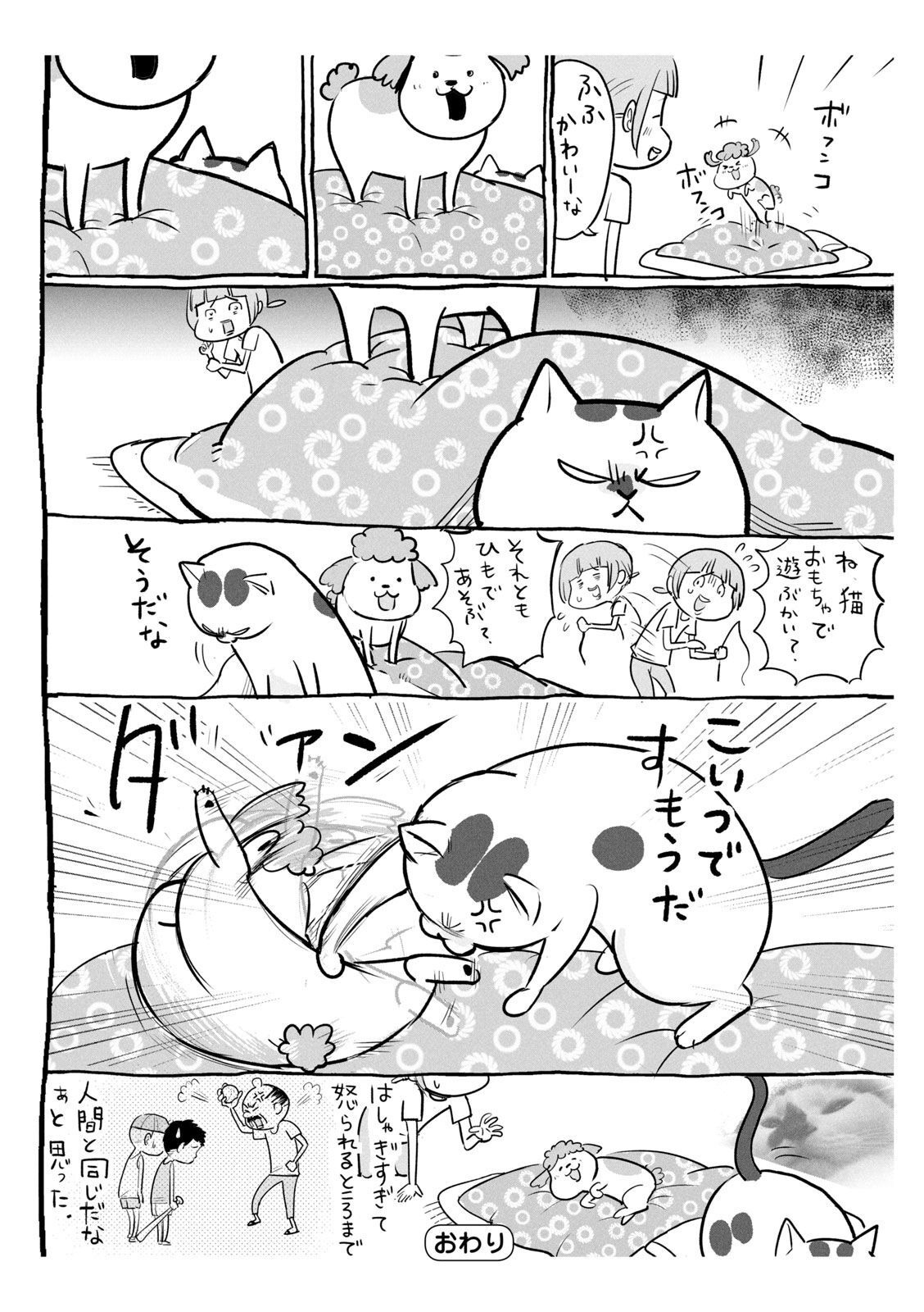 P51