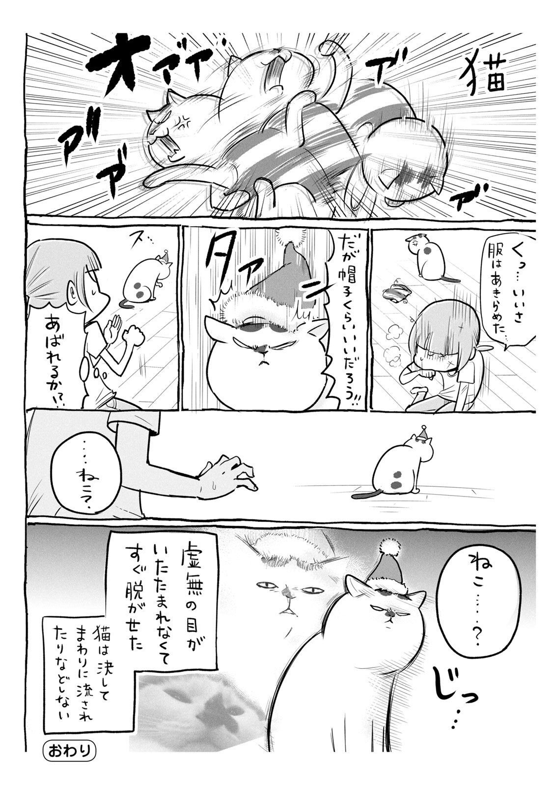 P53