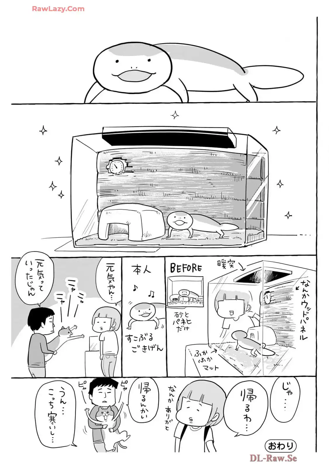 P27