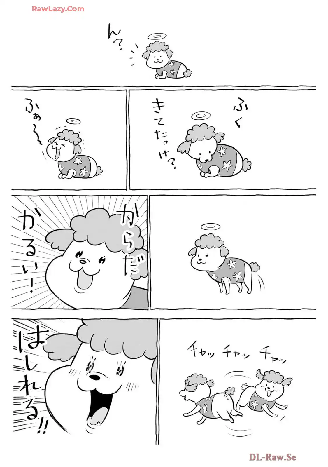 P31