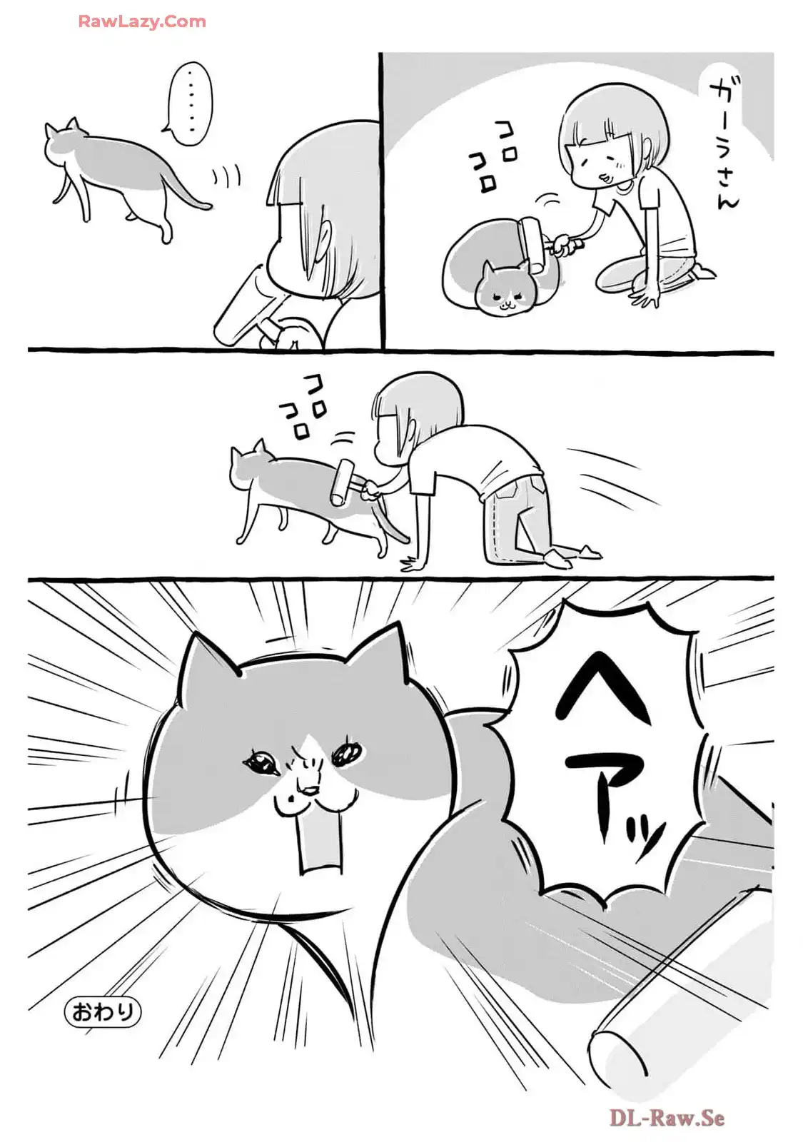 P41