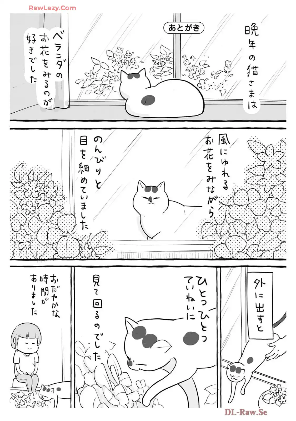 P42