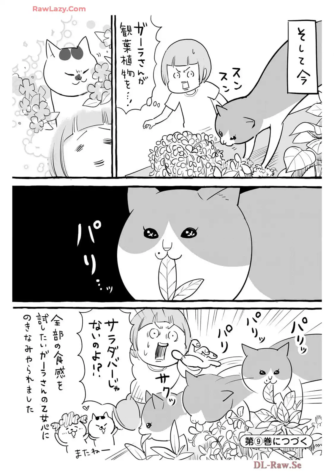 P43