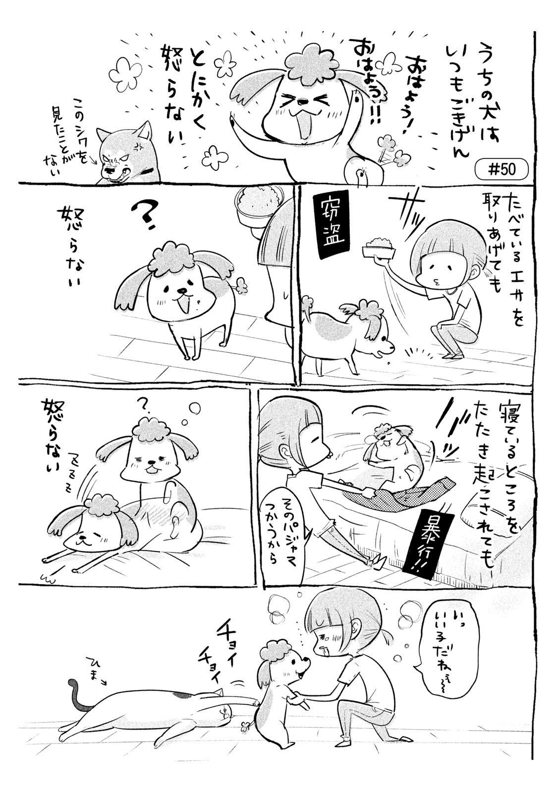 P37