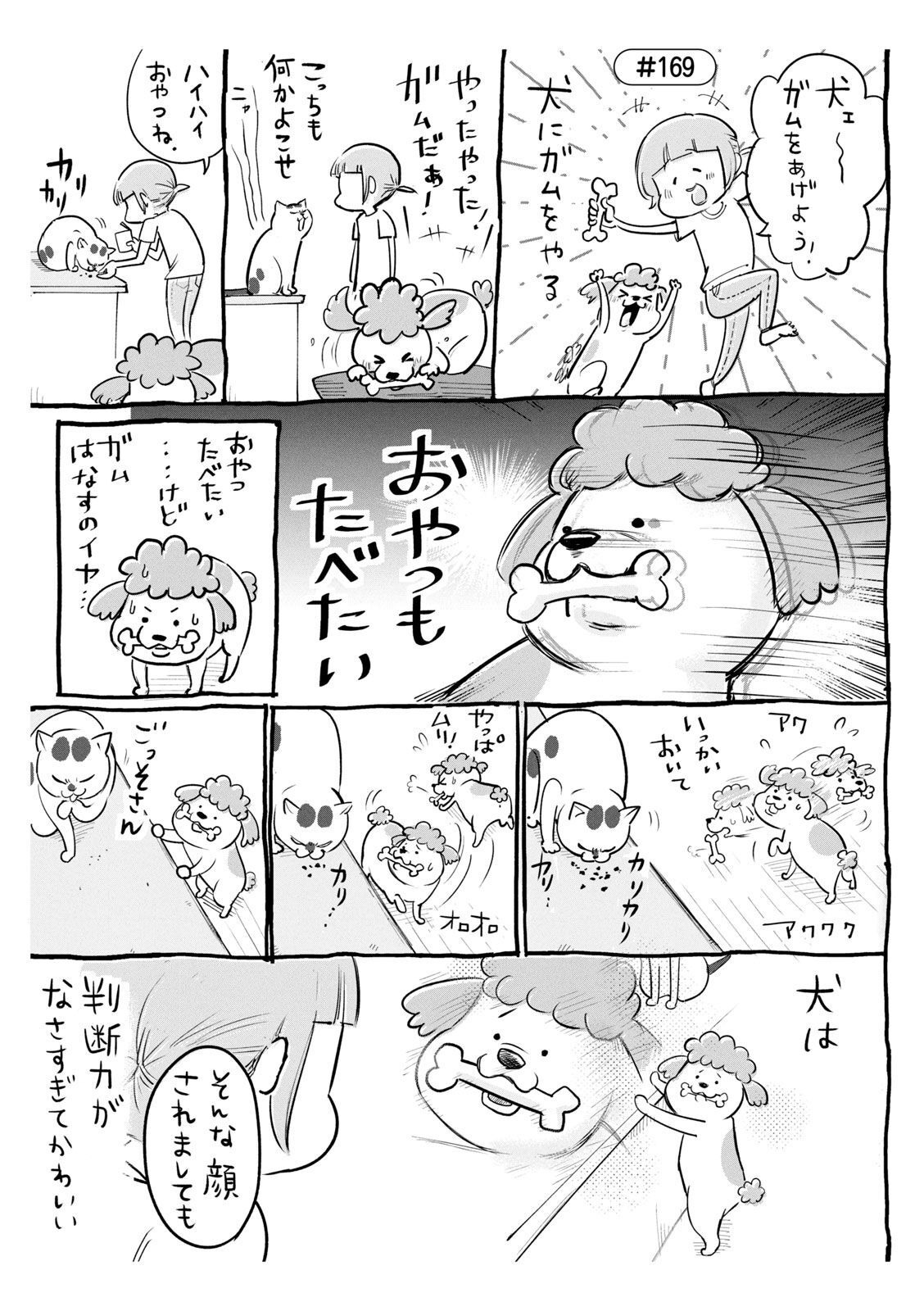 P40