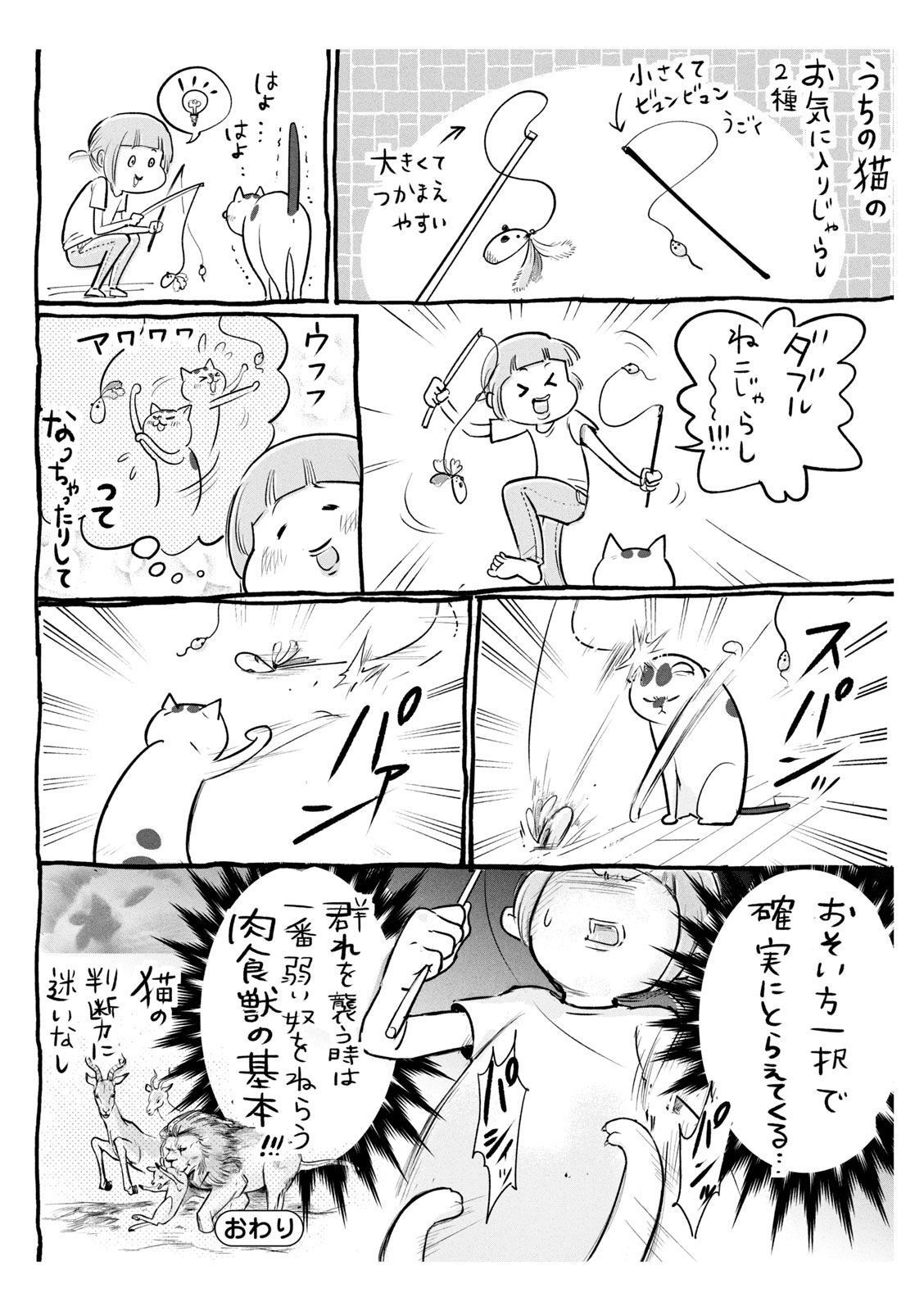 P41