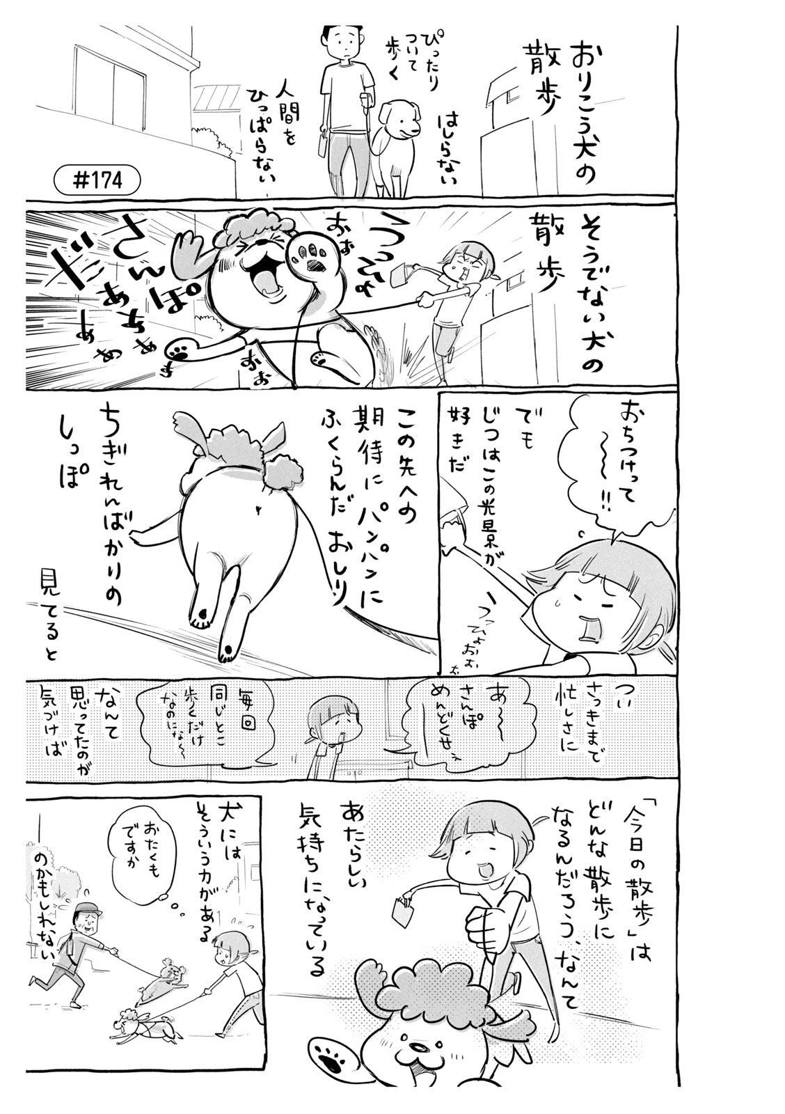 P51