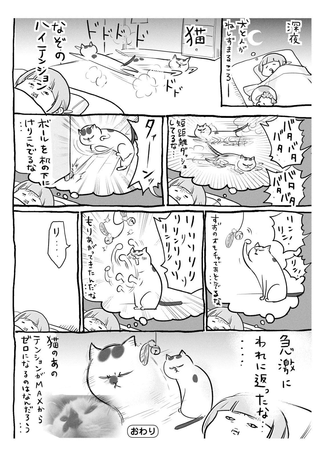 P27