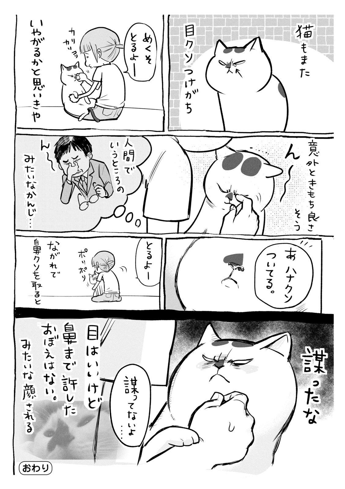 P31