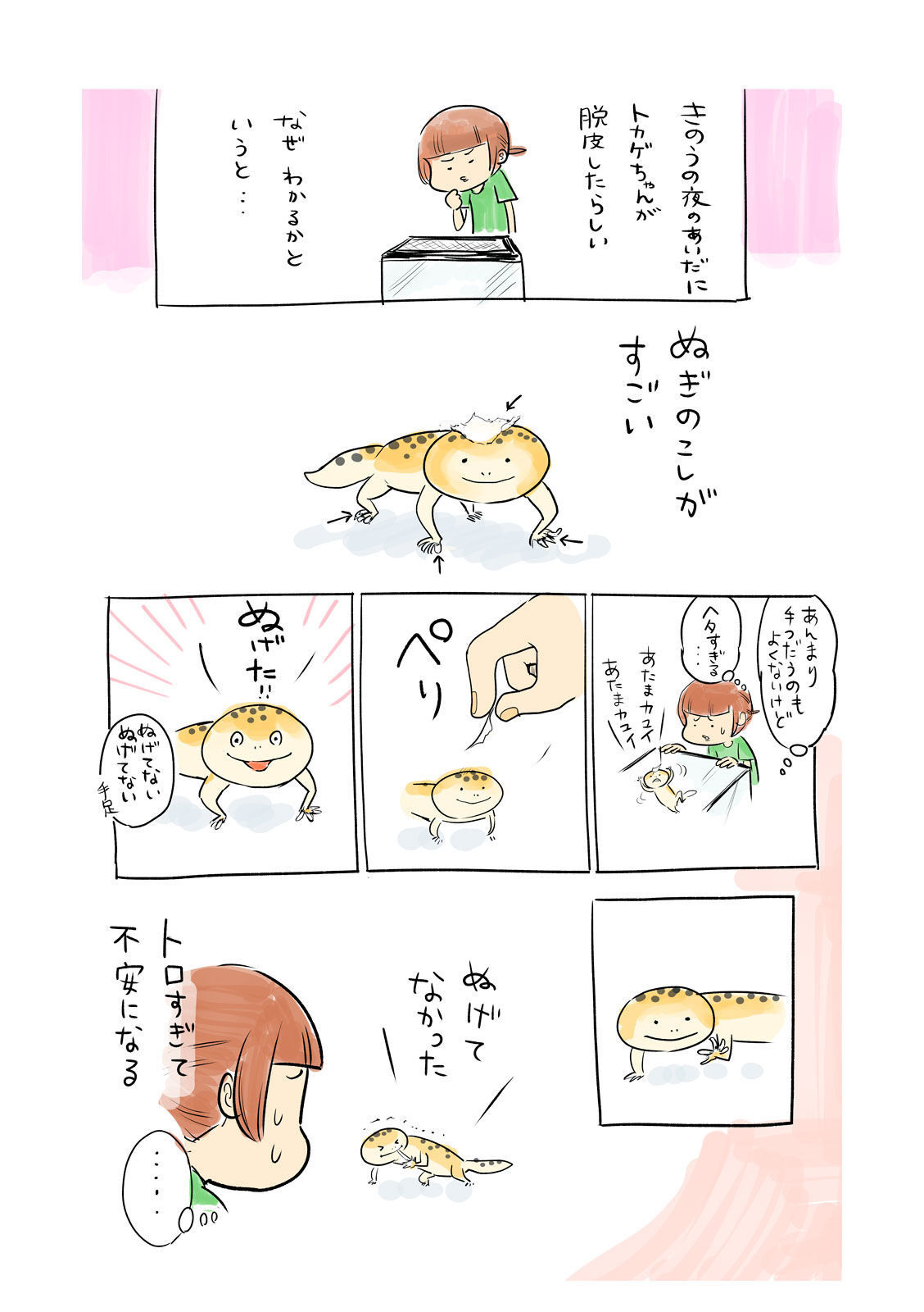 P41