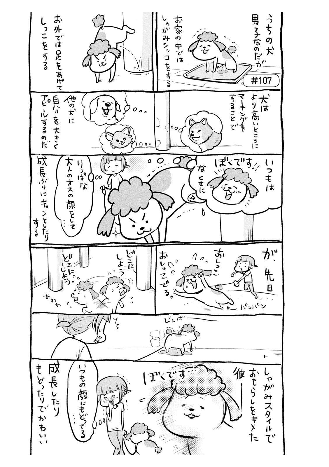 P24