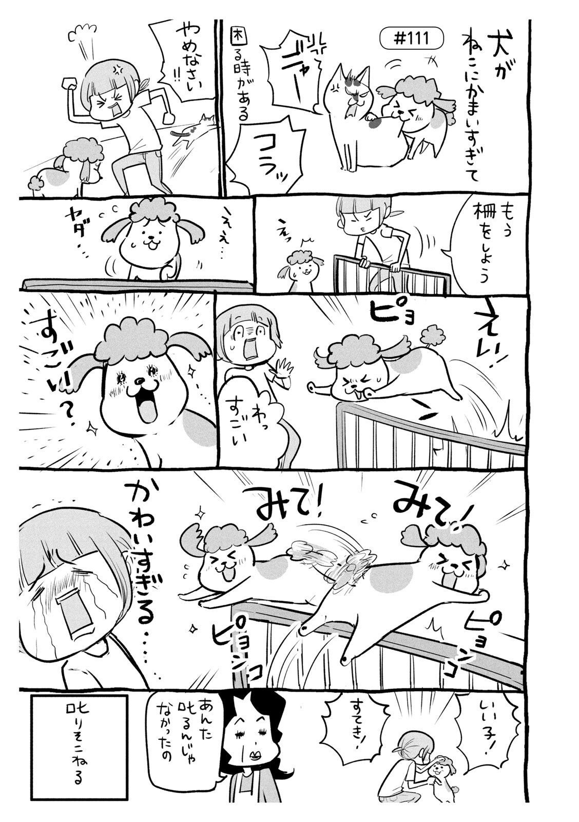 P33