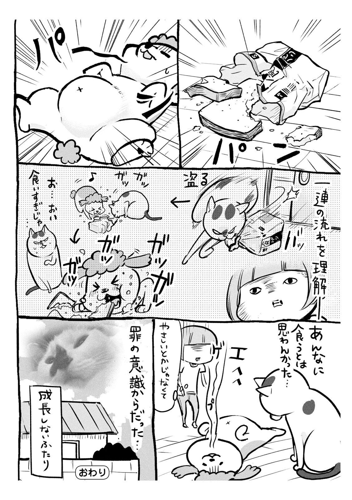 P40