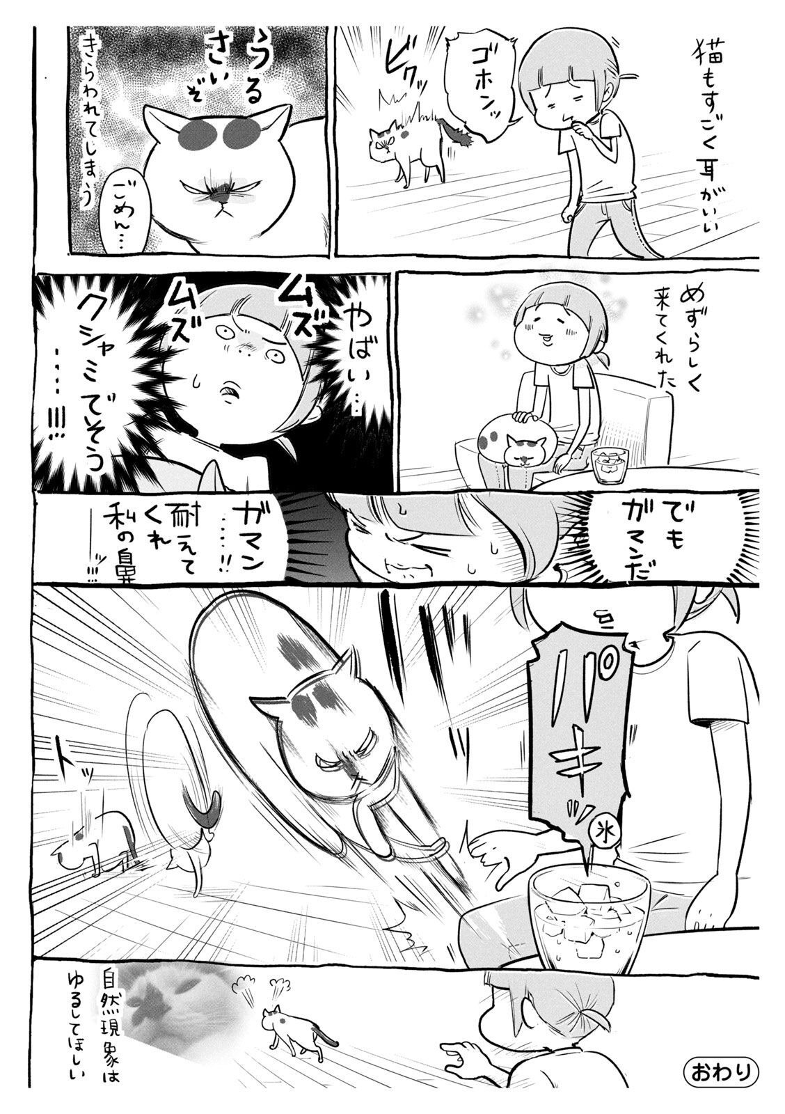 P25