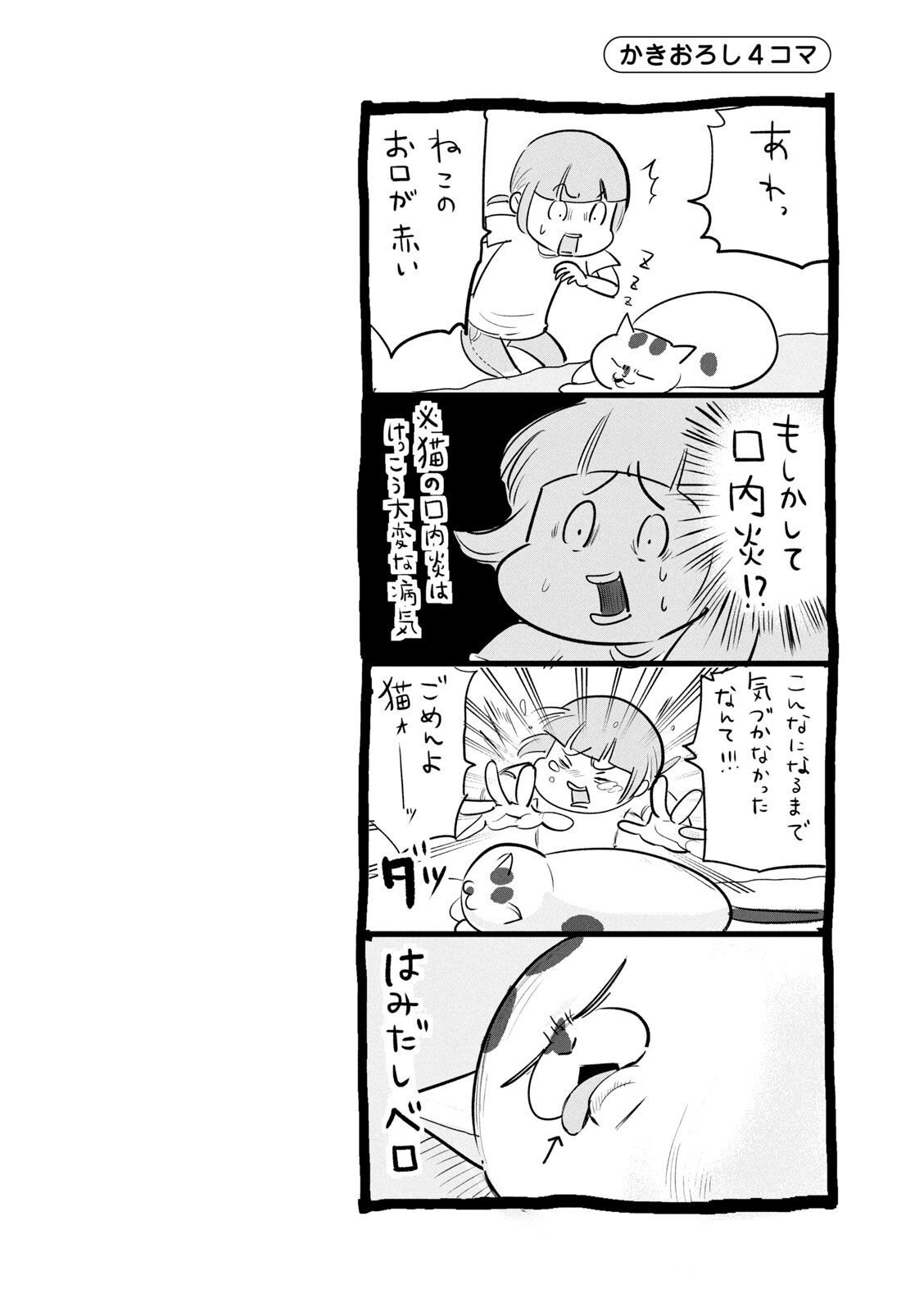 P33
