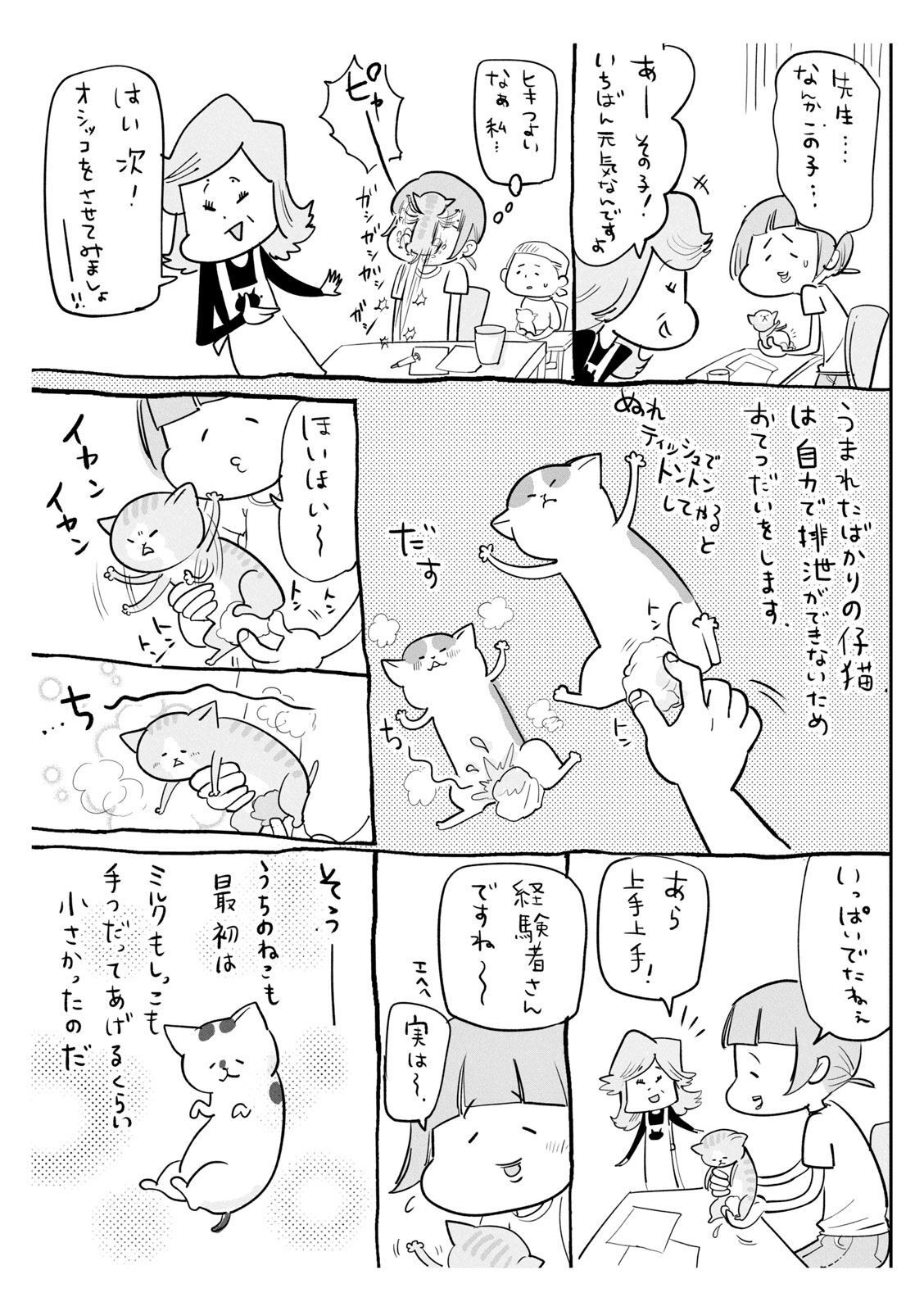 P53