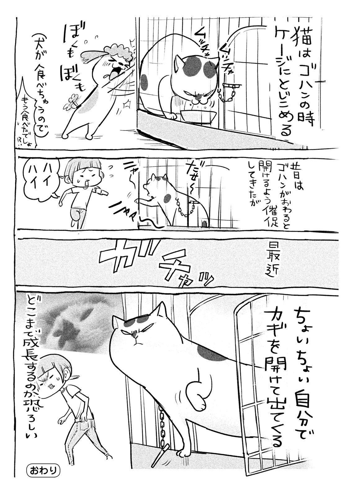 P21