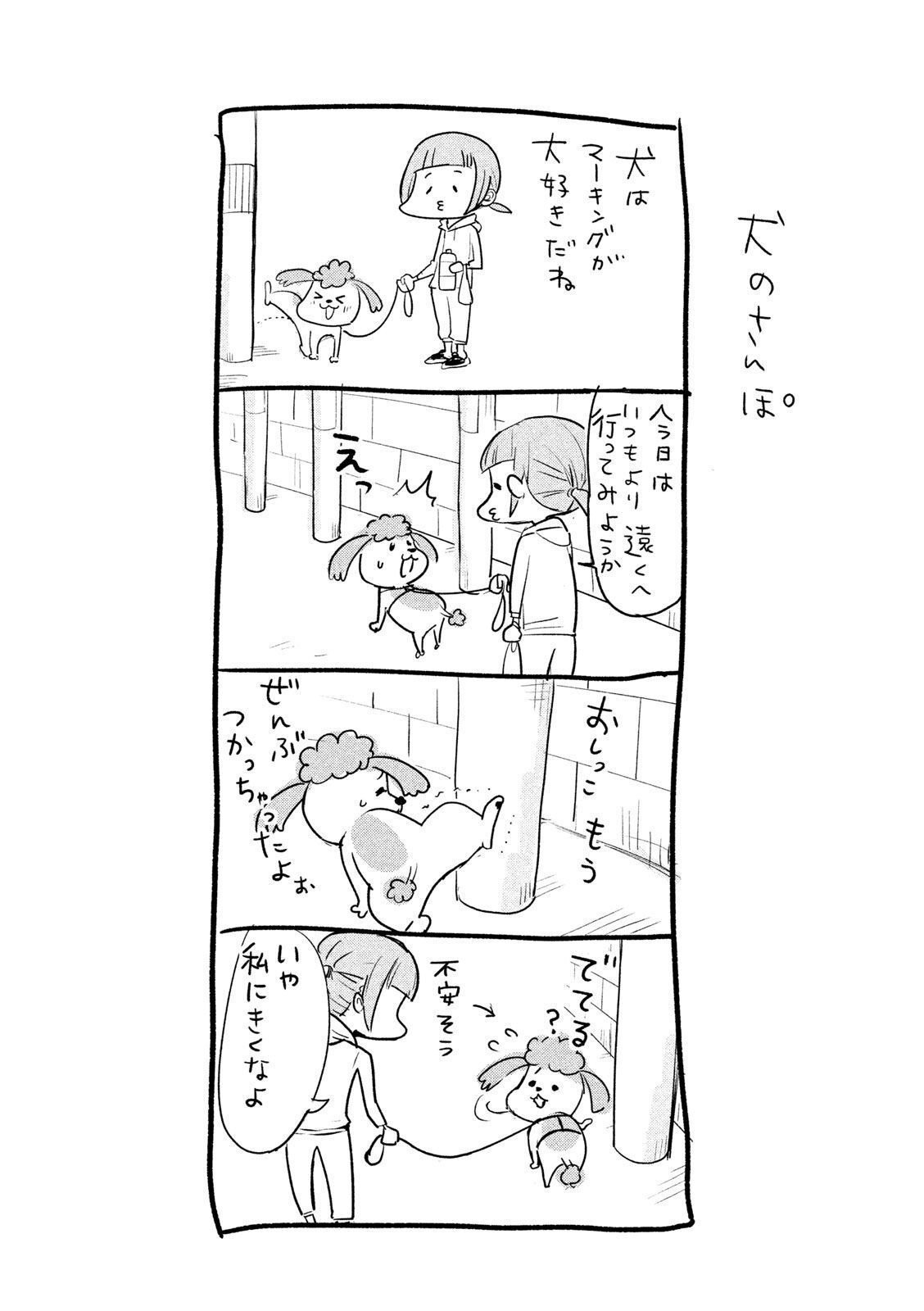 P47