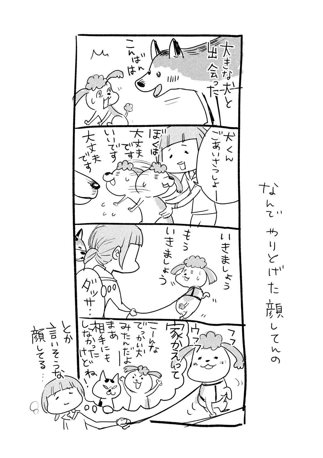 P48