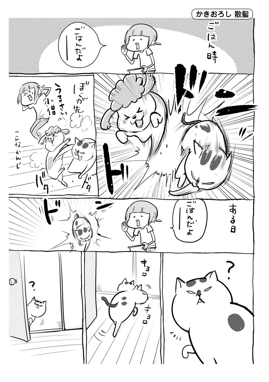 P40