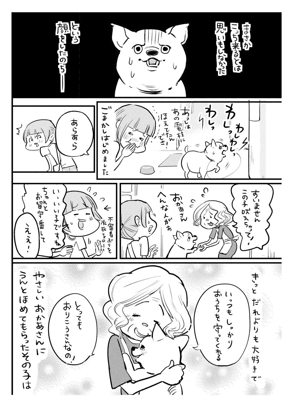 P51