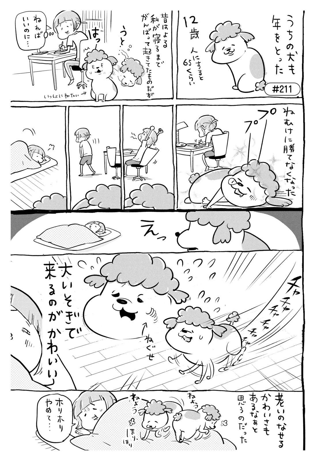 P27