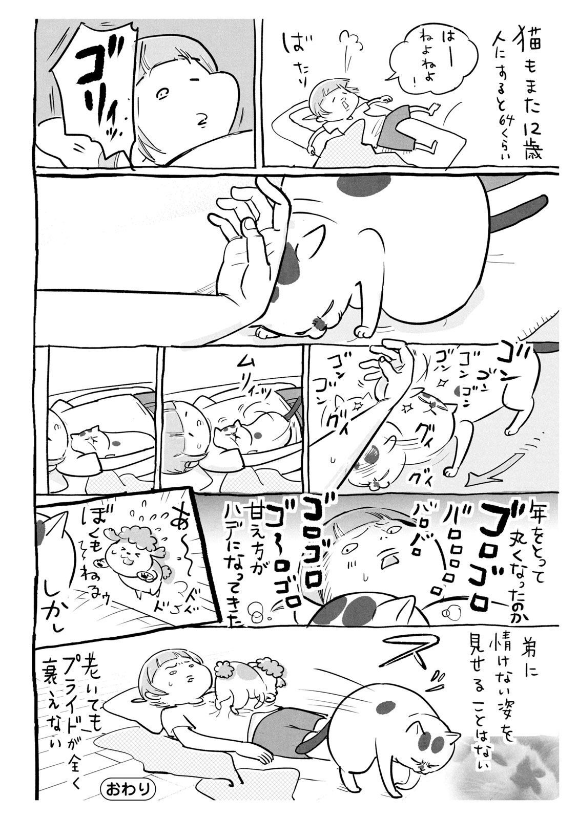 P28
