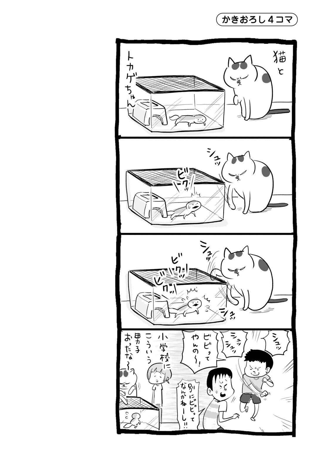 P43