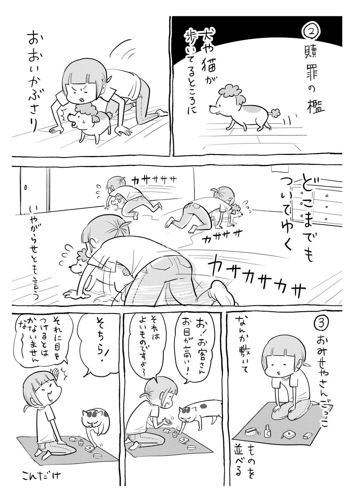 P51